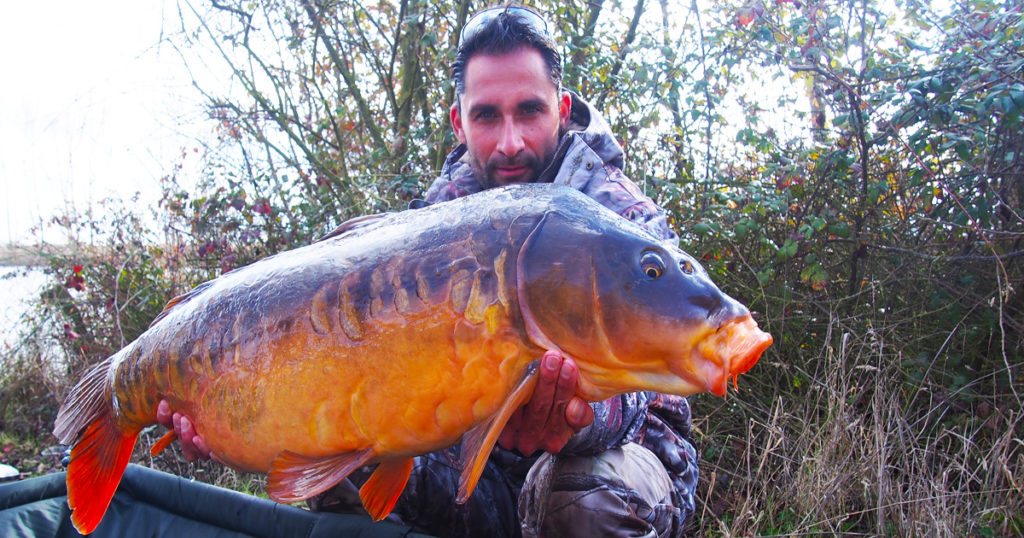 http://stag1.revistajaraysedal.es///wp-content/uploads/2021/08/pesca-galicia-puerto.jpg