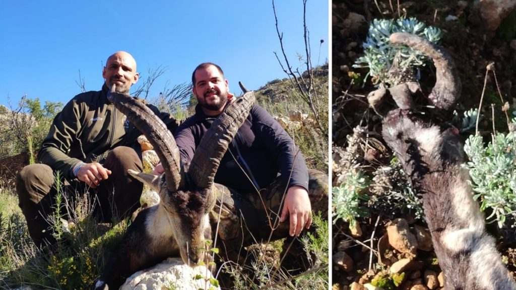 http://stag1.revistajaraysedal.es///wp-content/uploads/2021/08/pesca-galicia-puerto.jpg