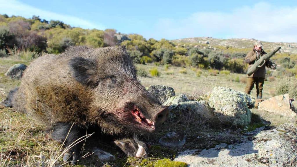 https://revistajaraysedal.es/wp-content/uploads/2021/08/pesca-galicia-puerto.jpg