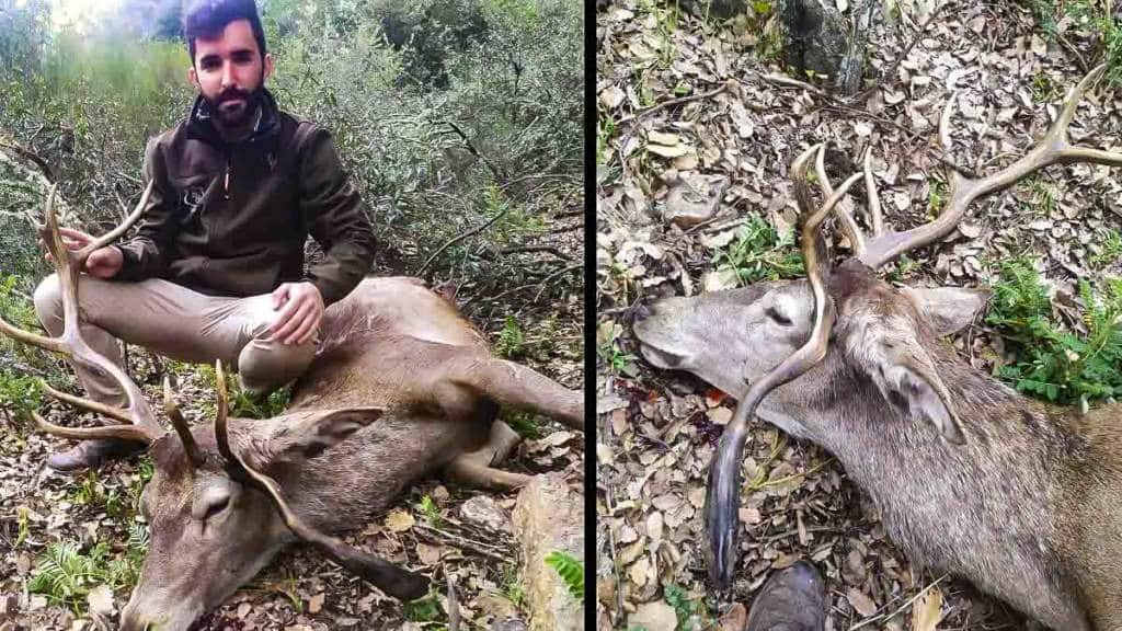 https://revistajaraysedal.es/wp-content/uploads/2021/08/pesca-galicia-puerto.jpg