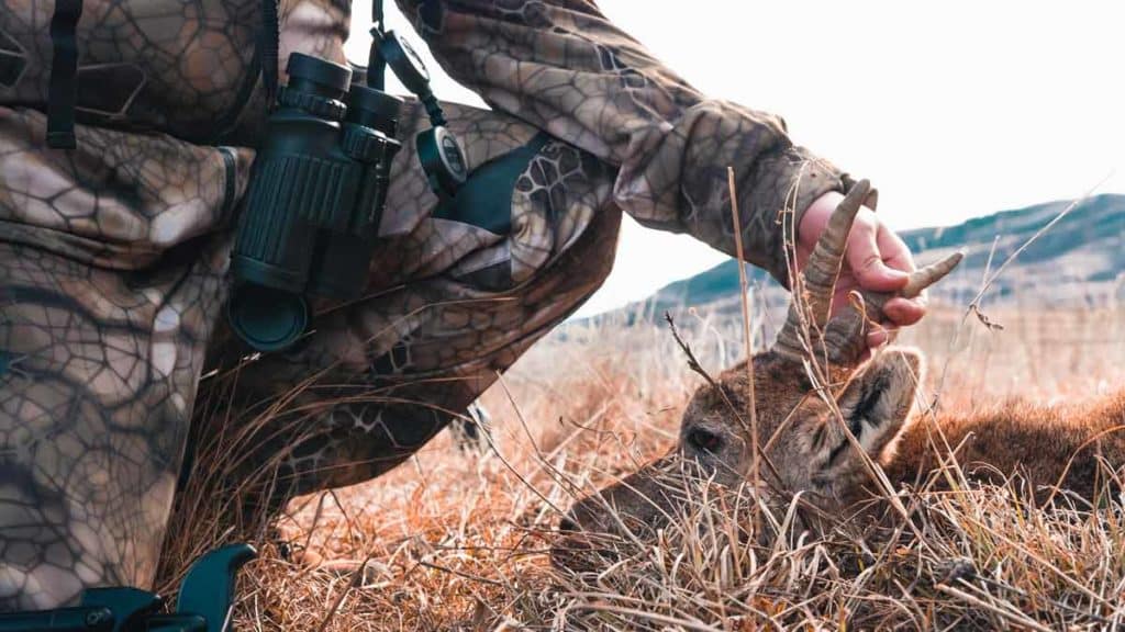 https://revistajaraysedal.es/wp-content/uploads/2021/08/pesca-galicia-puerto.jpg