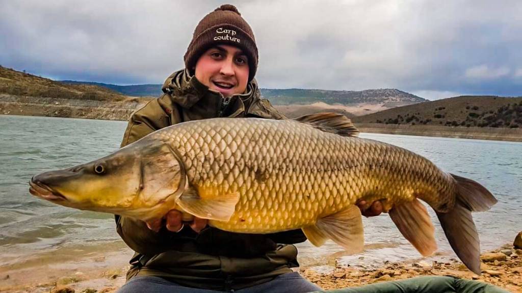 https://revistajaraysedal.es/wp-content/uploads/2021/08/pesca-galicia-puerto.jpg