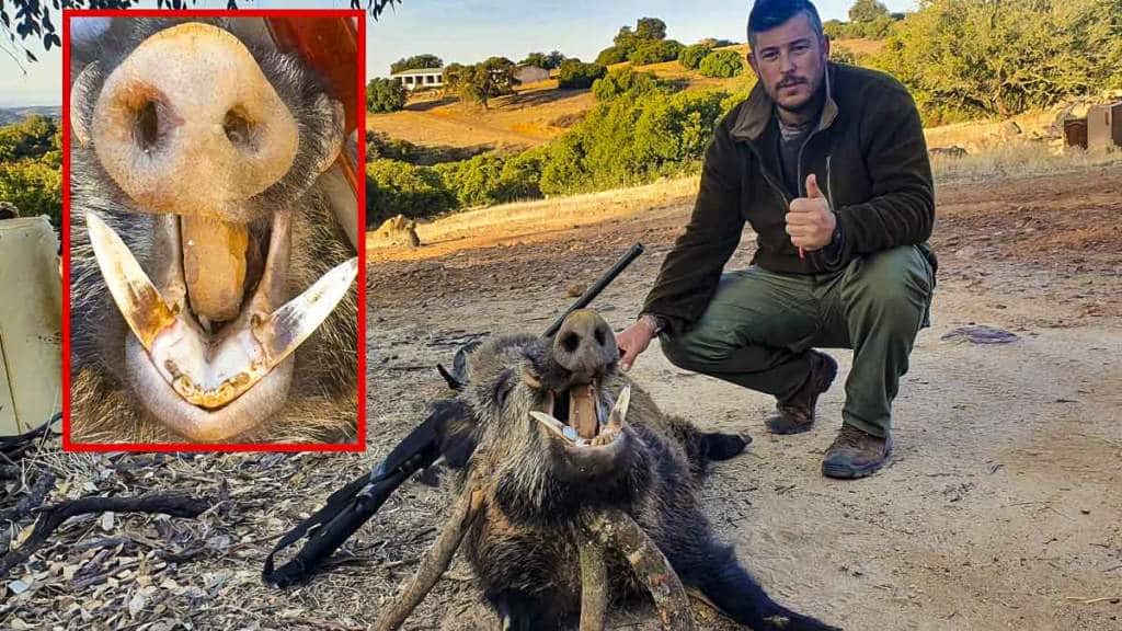 https://revistajaraysedal.es/wp-content/uploads/2021/08/pesca-galicia-puerto.jpg