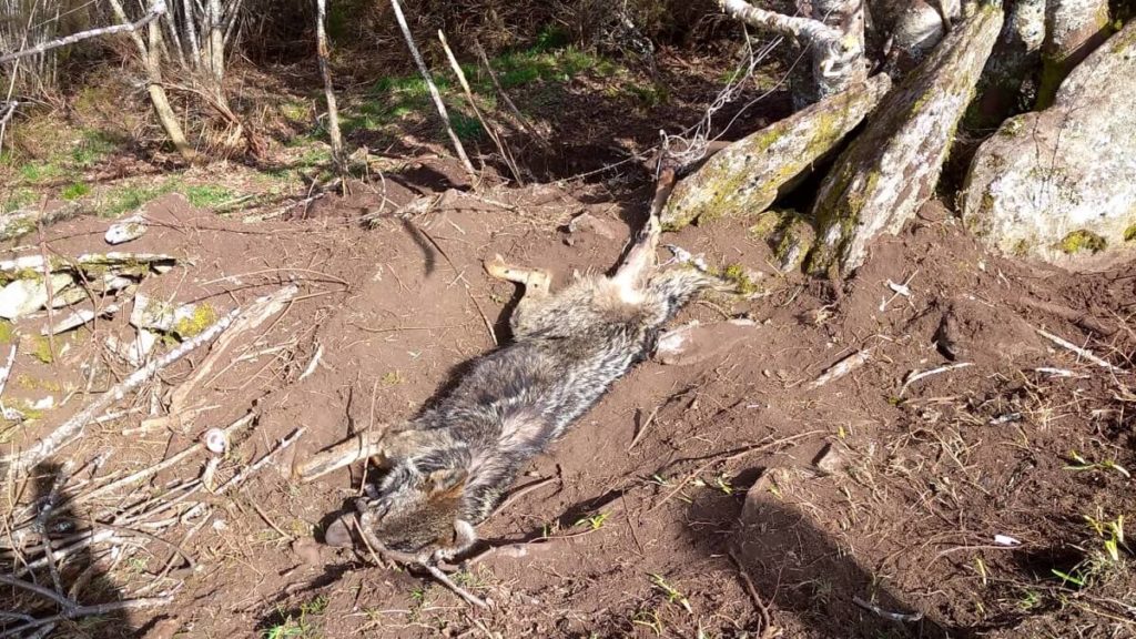 https://revistajaraysedal.es/wp-content/uploads/2021/08/pesca-galicia-puerto.jpg