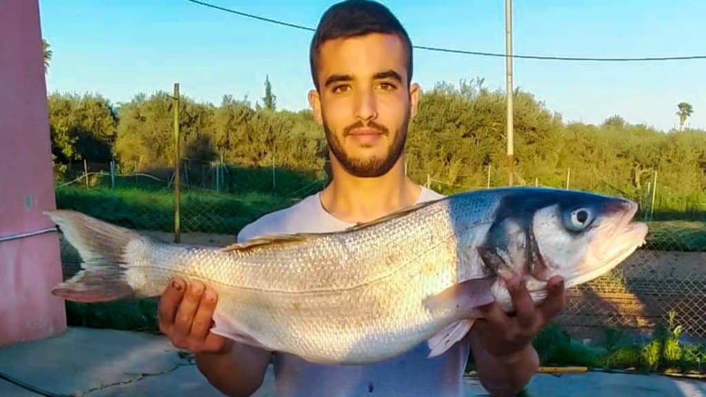 https://revistajaraysedal.es/wp-content/uploads/2021/08/pesca-galicia-puerto.jpg