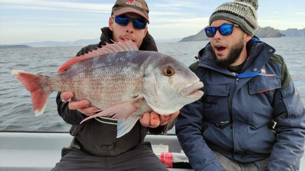 https://revistajaraysedal.es/wp-content/uploads/2021/08/pesca-galicia-puerto.jpg