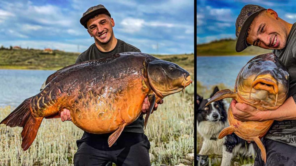 https://revistajaraysedal.es/wp-content/uploads/2021/08/pesca-galicia-puerto.jpg