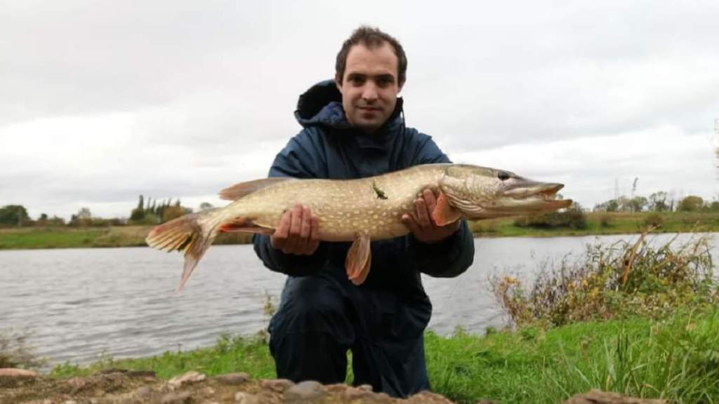 https://revistajaraysedal.es/wp-content/uploads/2021/08/pesca-galicia-puerto.jpg