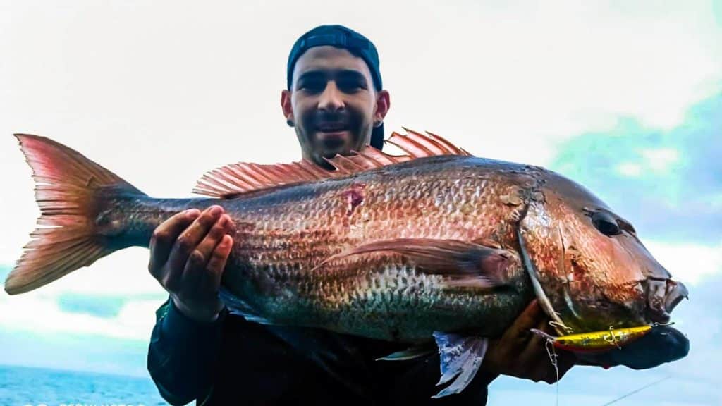 https://revistajaraysedal.es/wp-content/uploads/2021/08/pesca-galicia-puerto.jpg