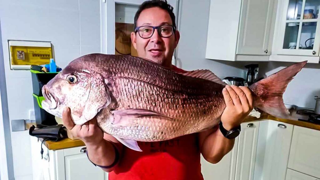 https://revistajaraysedal.es/wp-content/uploads/2021/08/pesca-galicia-puerto.jpg