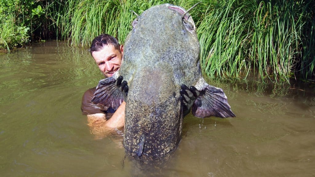 https://revistajaraysedal.es/wp-content/uploads/2021/08/pesca-galicia-puerto.jpg
