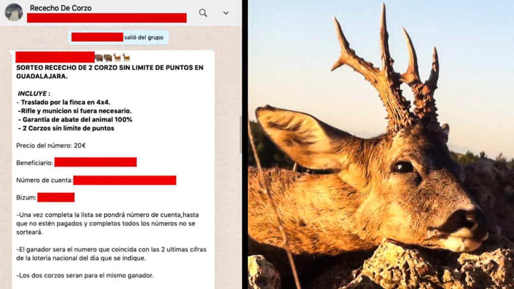https://revistajaraysedal.es/wp-content/uploads/2021/08/pesca-galicia-puerto.jpg