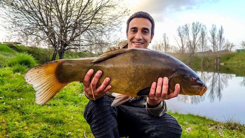 https://revistajaraysedal.es/wp-content/uploads/2021/08/pesca-galicia-puerto.jpg