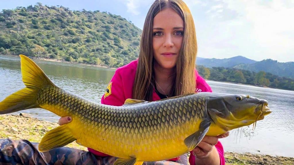 https://revistajaraysedal.es/wp-content/uploads/2021/08/pesca-galicia-puerto.jpg
