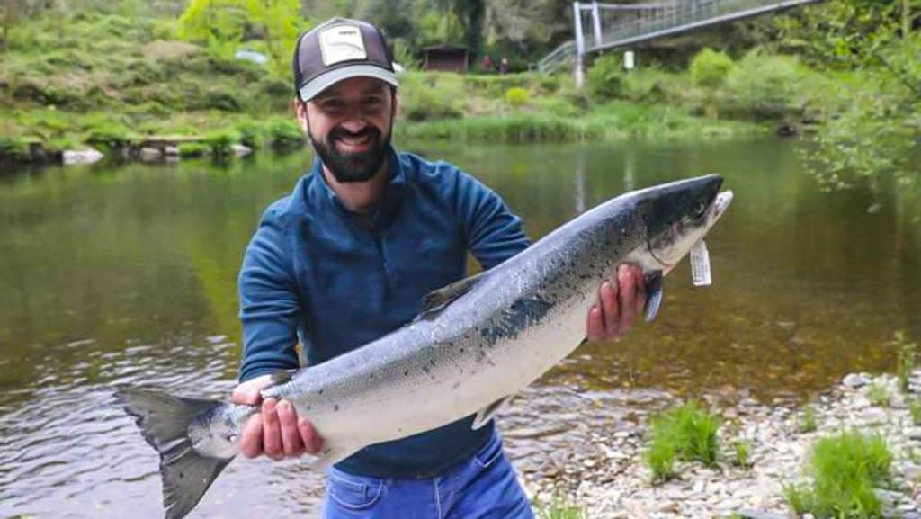 https://revistajaraysedal.es/wp-content/uploads/2021/08/pesca-galicia-puerto.jpg