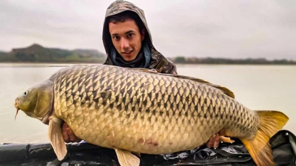 https://revistajaraysedal.es/wp-content/uploads/2021/08/pesca-galicia-puerto.jpg