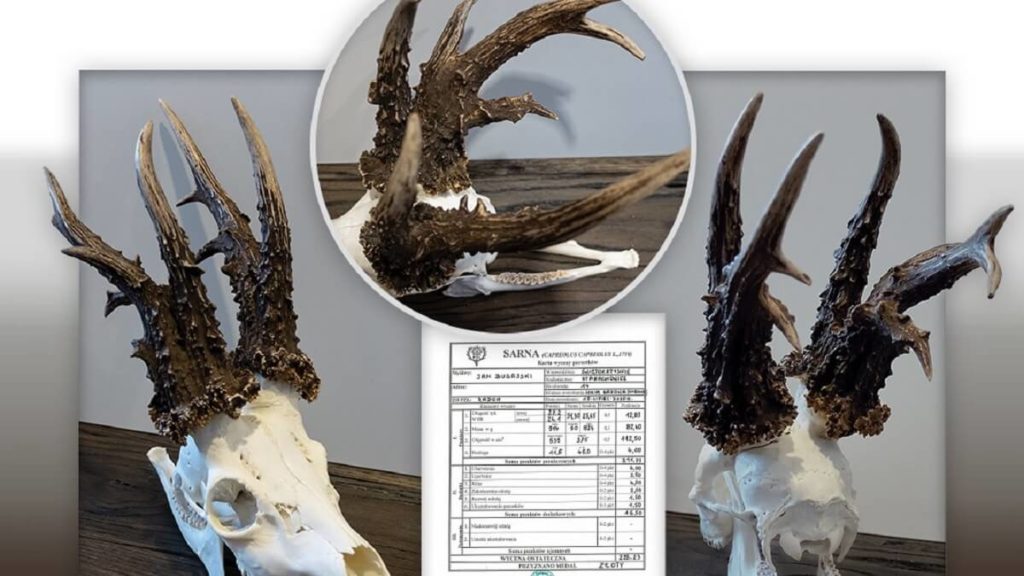 https://revistajaraysedal.es/wp-content/uploads/2021/08/pesca-galicia-puerto.jpg