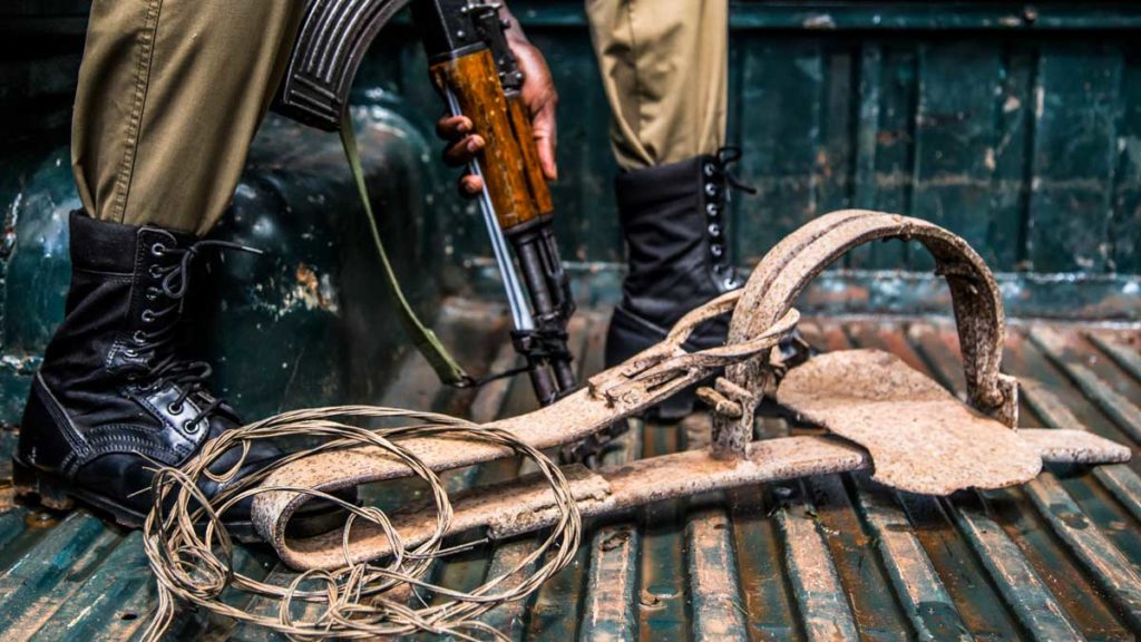 https://revistajaraysedal.es/wp-content/uploads/2021/08/pesca-galicia-puerto.jpg