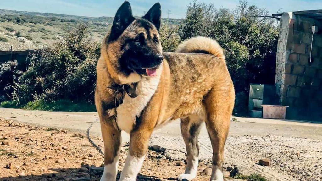 https://revistajaraysedal.es/wp-content/uploads/2021/08/pesca-galicia-puerto.jpg