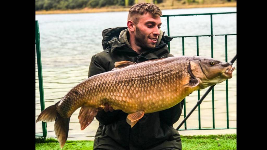 https://revistajaraysedal.es/wp-content/uploads/2021/08/pesca-galicia-puerto.jpg