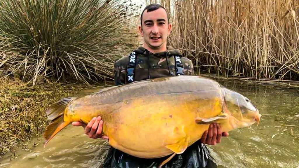 https://revistajaraysedal.es/wp-content/uploads/2021/08/pesca-galicia-puerto.jpg