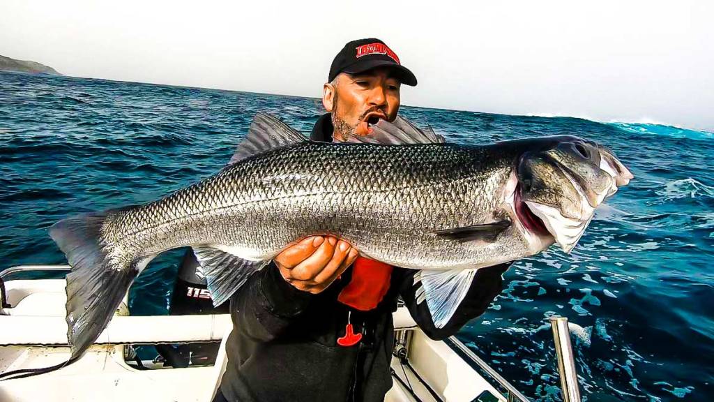 https://revistajaraysedal.es/wp-content/uploads/2021/08/pesca-galicia-puerto.jpg