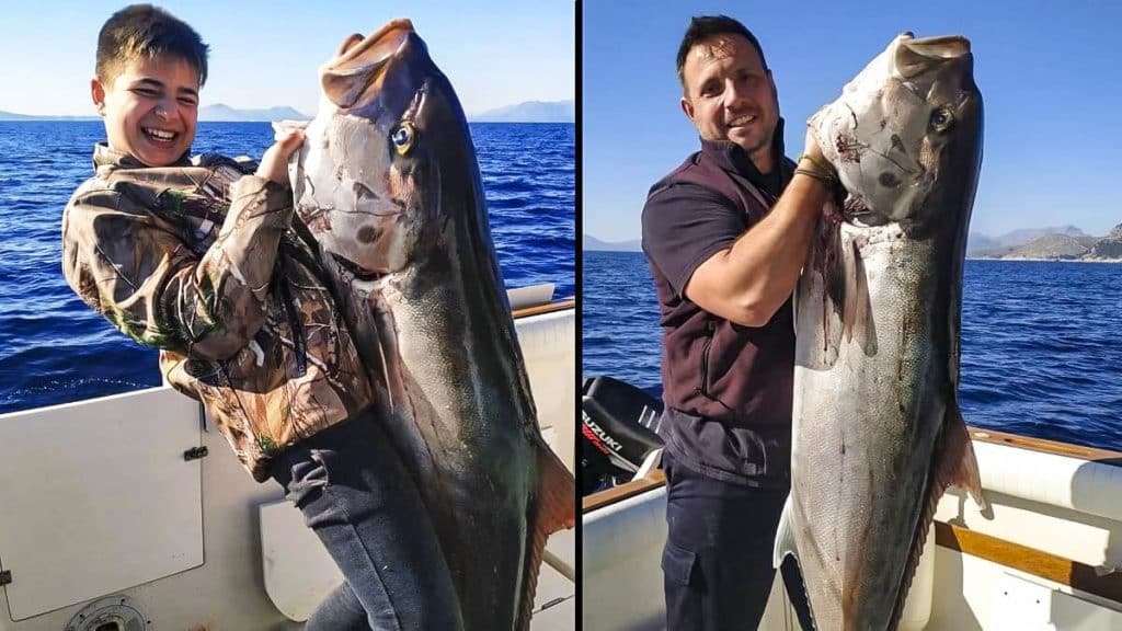 https://revistajaraysedal.es/wp-content/uploads/2021/08/pesca-galicia-puerto.jpg