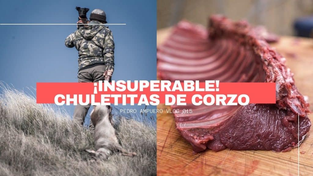 https://revistajaraysedal.es/wp-content/uploads/2021/08/pesca-galicia-puerto.jpg