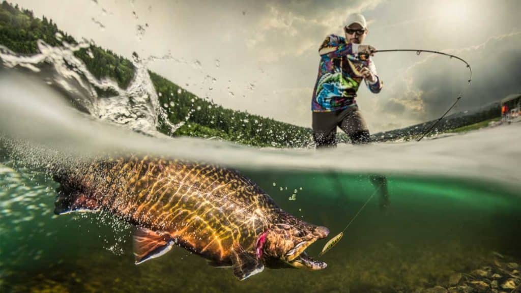 https://revistajaraysedal.es/wp-content/uploads/2021/08/pesca-galicia-puerto.jpg