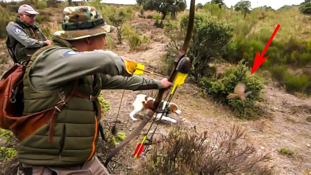 https://revistajaraysedal.es/wp-content/uploads/2021/08/pesca-galicia-puerto.jpg