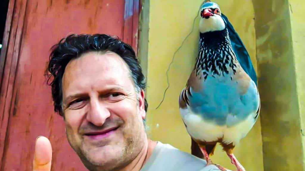 https://revistajaraysedal.es/wp-content/uploads/2021/08/pesca-galicia-puerto.jpg