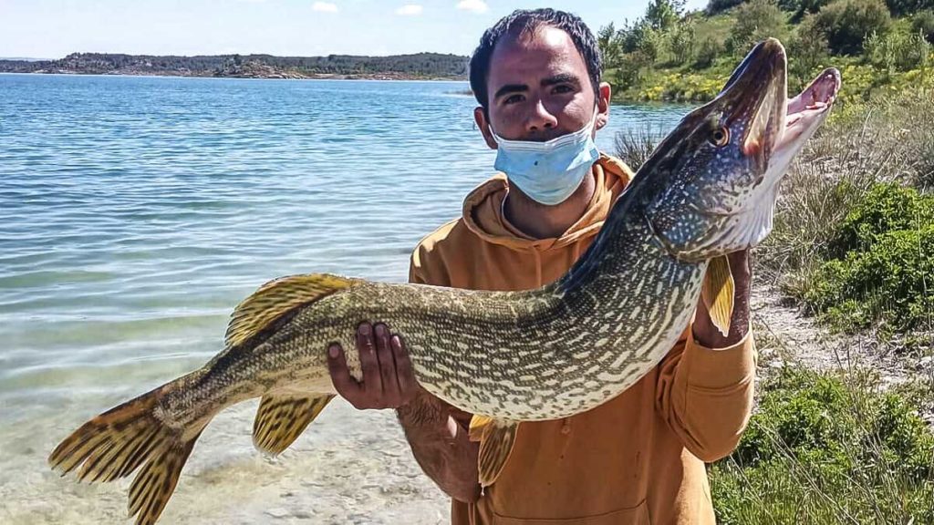 https://revistajaraysedal.es/wp-content/uploads/2021/08/pesca-galicia-puerto.jpg