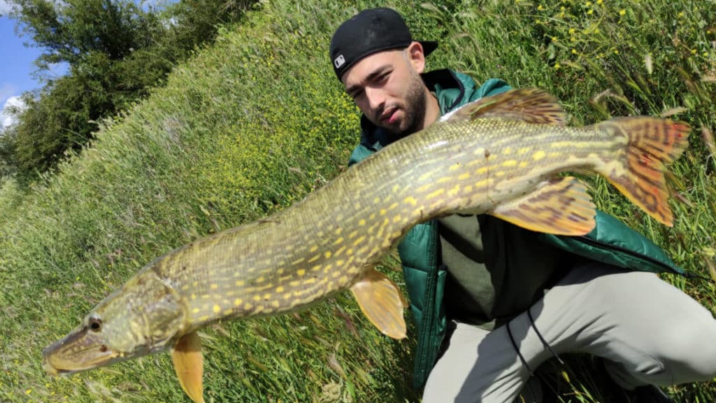 https://revistajaraysedal.es/wp-content/uploads/2021/08/pesca-galicia-puerto.jpg