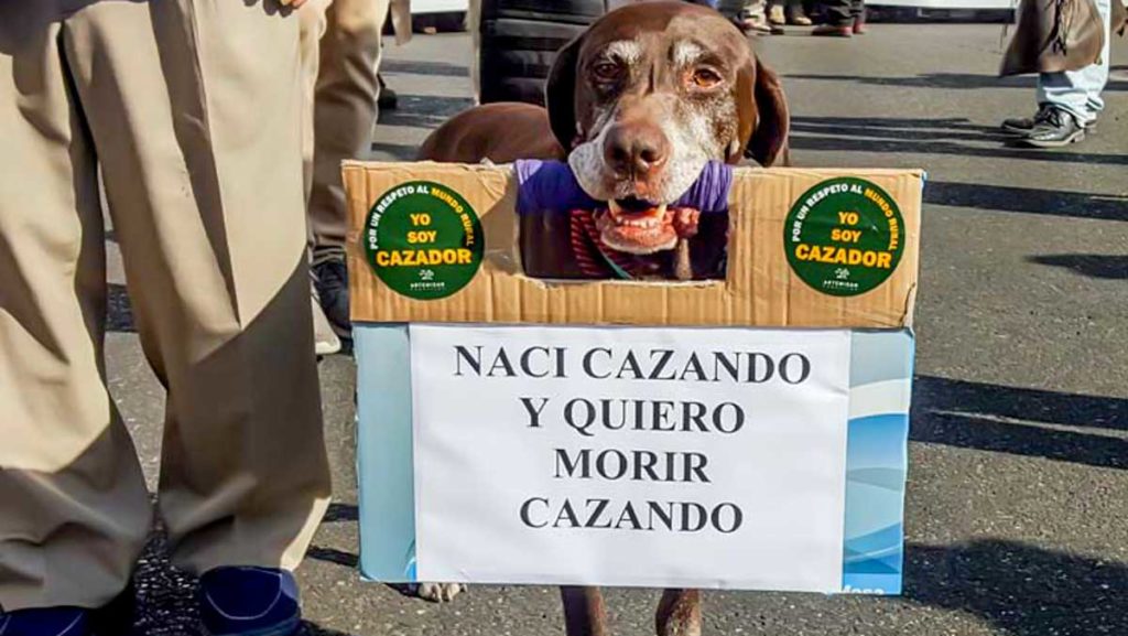 https://revistajaraysedal.es/wp-content/uploads/2021/08/pesca-galicia-puerto.jpg