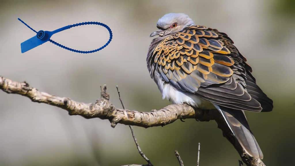 https://revistajaraysedal.es/wp-content/uploads/2021/08/pesca-galicia-puerto.jpg