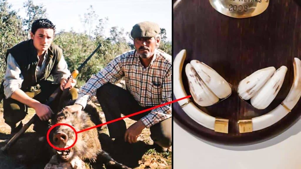https://revistajaraysedal.es/wp-content/uploads/2021/08/pesca-galicia-puerto.jpg