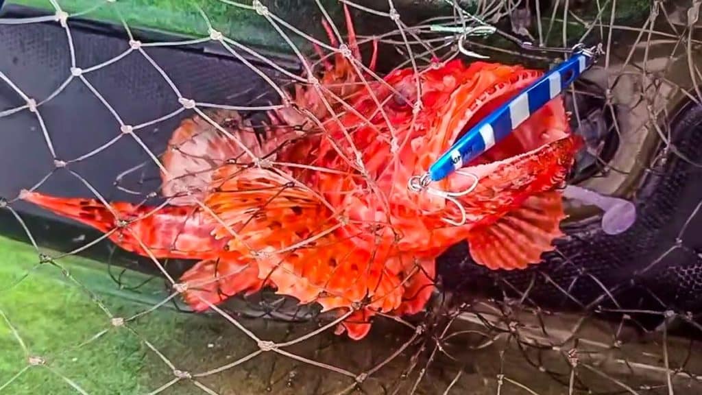 https://revistajaraysedal.es/wp-content/uploads/2021/08/pesca-galicia-puerto.jpg