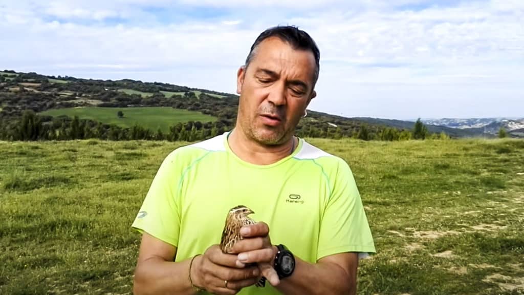 https://revistajaraysedal.es/wp-content/uploads/2021/08/pesca-galicia-puerto.jpg