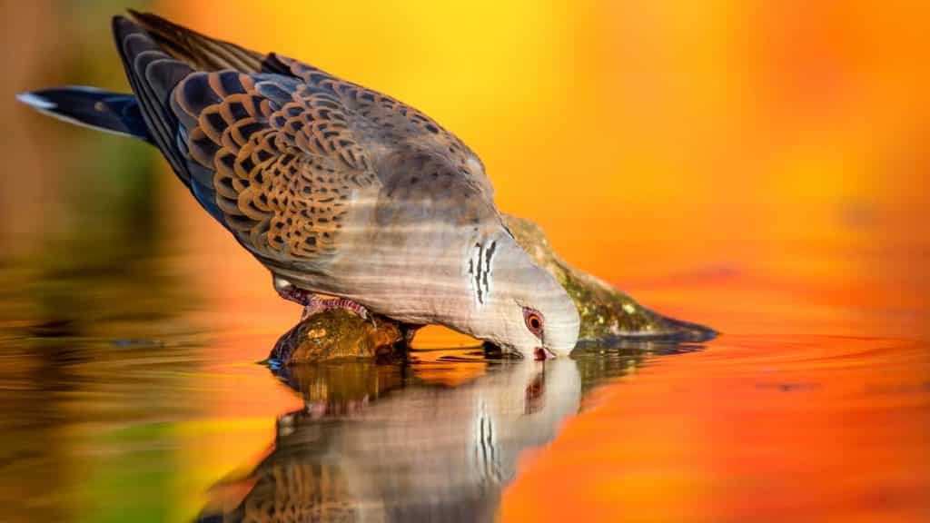 https://revistajaraysedal.es/wp-content/uploads/2021/08/pesca-galicia-puerto.jpg