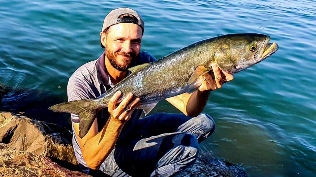 https://revistajaraysedal.es/wp-content/uploads/2021/08/pesca-galicia-puerto.jpg