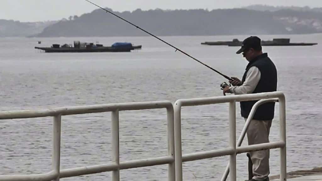 https://revistajaraysedal.es/wp-content/uploads/2021/08/pesca-galicia-puerto.jpg
