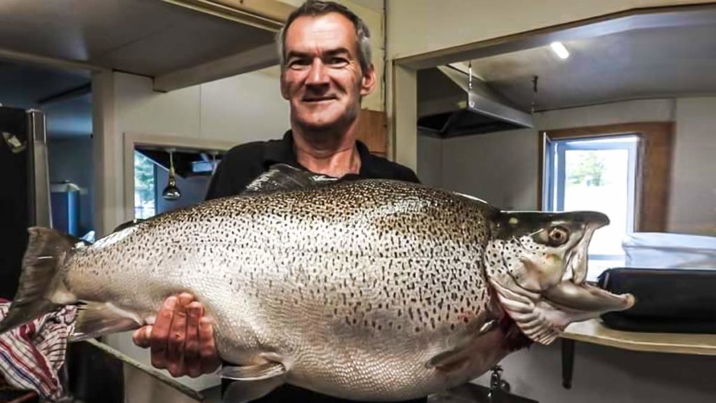 https://revistajaraysedal.es/wp-content/uploads/2021/08/pesca-galicia-puerto.jpg
