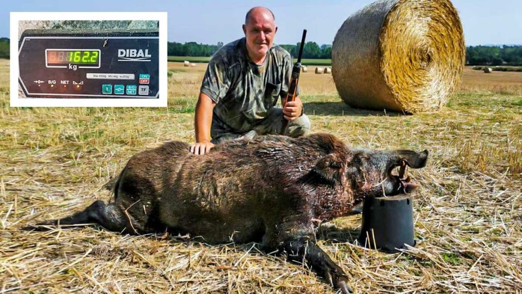 https://revistajaraysedal.es/wp-content/uploads/2021/08/pesca-galicia-puerto.jpg