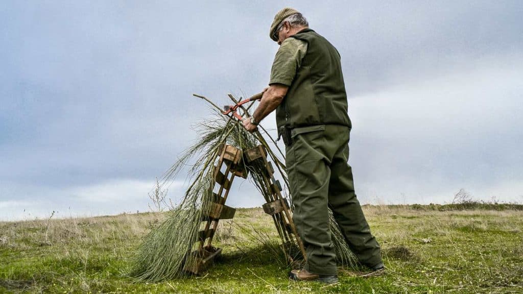 https://revistajaraysedal.es/wp-content/uploads/2021/08/pesca-galicia-puerto.jpg