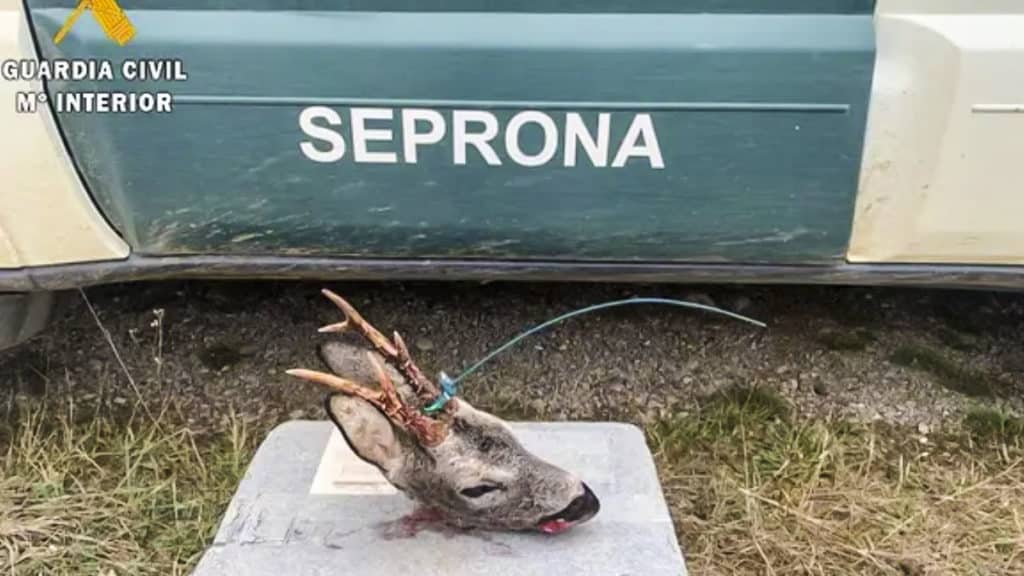 https://revistajaraysedal.es/wp-content/uploads/2021/08/pesca-galicia-puerto.jpg