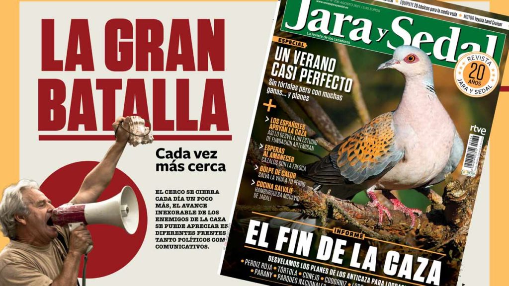 https://revistajaraysedal.es/wp-content/uploads/2021/08/pesca-galicia-puerto.jpg