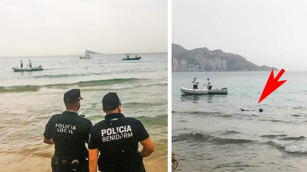 https://revistajaraysedal.es/wp-content/uploads/2021/08/pesca-galicia-puerto.jpg