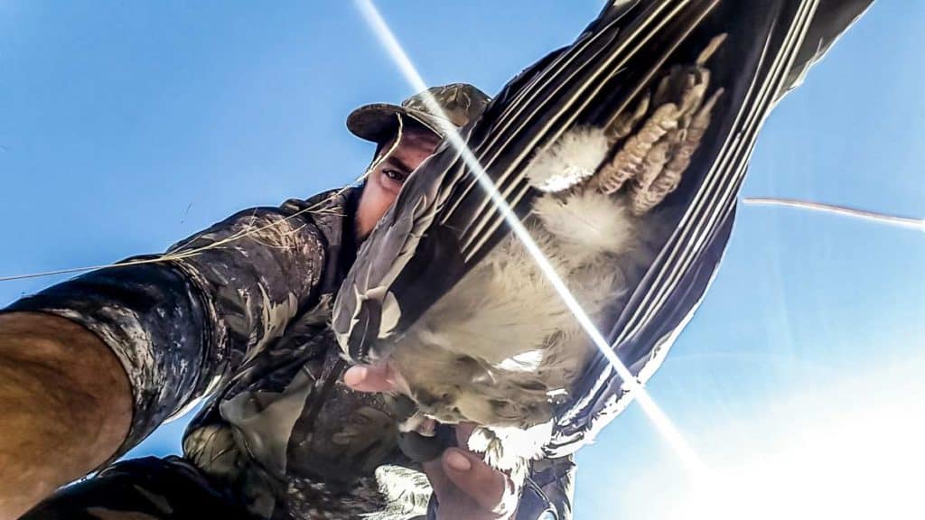 https://revistajaraysedal.es/wp-content/uploads/2021/08/pesca-galicia-puerto.jpg