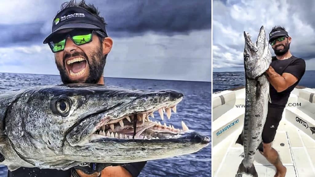 https://revistajaraysedal.es/wp-content/uploads/2021/08/pesca-galicia-puerto.jpg