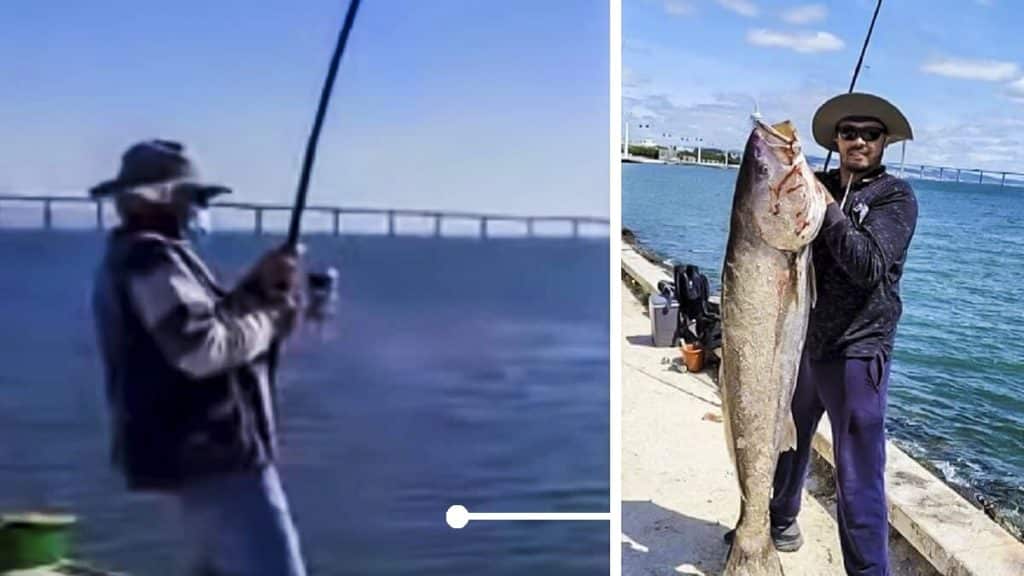 https://revistajaraysedal.es/wp-content/uploads/2021/08/pesca-galicia-puerto.jpg